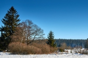 Winter in der Eifel und im Hohen Venn-23