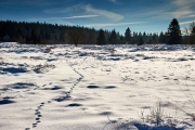 Winter in der Eifel und im Hohen Venn-24