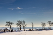 Winter in der Eifel und im Hohen Venn-27