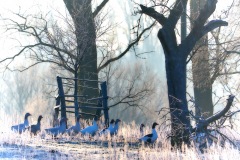 2019-Winter-2020-188