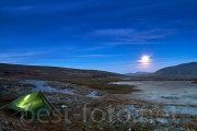 2014_Dovrefjell-IMG_2232