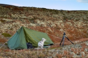 2014_Dovrefjell-IMG_2340